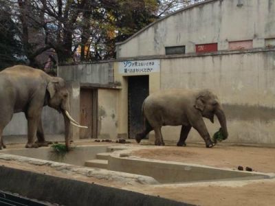 Kobe City Oji Zoo 