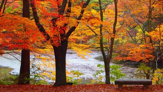 Kobe Municipal Arboretum