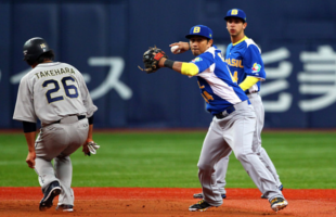 orix-buffaloes