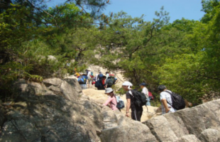 mount-rokko